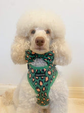 Load image into Gallery viewer, Green Leopard Bow