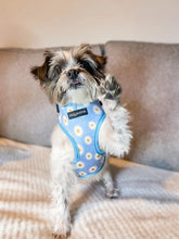 Load image into Gallery viewer, Daisy Dream Harness