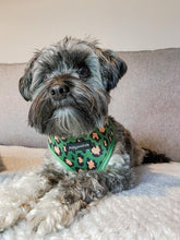 Load image into Gallery viewer, Green Leopard Harness