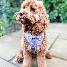 Load image into Gallery viewer, Who Let The Dogs Out Harness