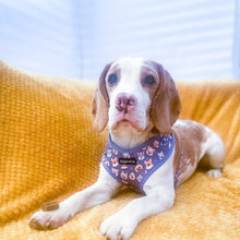 Load image into Gallery viewer, Who Let The Dogs Out Harness