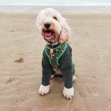 Load image into Gallery viewer, Green Leopard Harness