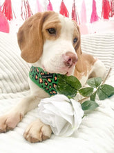 Load image into Gallery viewer, Green Leopard Harness