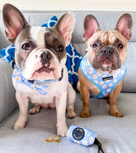 Load image into Gallery viewer, Daisy Dream Bundle