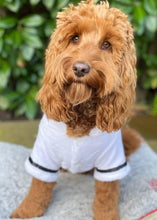 Load image into Gallery viewer, Dog Dressing Gown