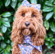 Load image into Gallery viewer, Who Let The Dogs Out Bandana