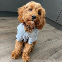 Load image into Gallery viewer, Vegan Leather Collars