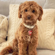 Load image into Gallery viewer, Vegan Leather Collars