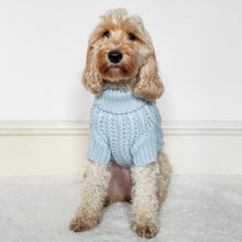Load image into Gallery viewer, Baby Blue Jumper