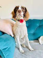 Load image into Gallery viewer, Oatmeal Jumper