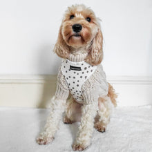 Load image into Gallery viewer, Signature Spots Harness