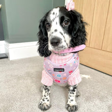 Load image into Gallery viewer, Pastel Pink Jumper