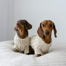 Load image into Gallery viewer, Oatmeal Jumper