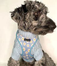 Load image into Gallery viewer, Baby Blue Jumper