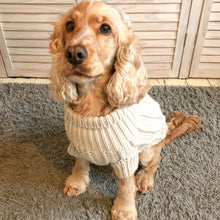 Load image into Gallery viewer, Oatmeal Jumper