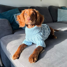 Load image into Gallery viewer, Baby Blue Jumper