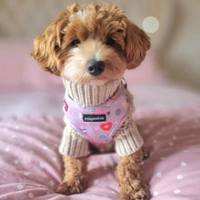 Load image into Gallery viewer, Donut Date Harness