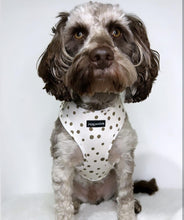 Load image into Gallery viewer, Signature Spots Harness