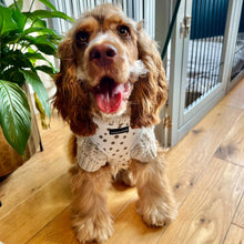 Load image into Gallery viewer, Signature Spots Harness