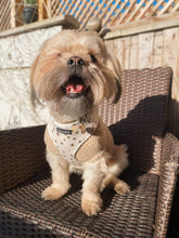 Load image into Gallery viewer, Signature Spots Harness