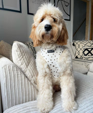 Load image into Gallery viewer, Signature Spots Harness