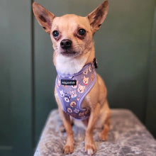 Load image into Gallery viewer, Who Let The Dogs Out Harness