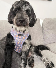 Load image into Gallery viewer, Who Let The Dogs Out Harness
