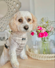 Load image into Gallery viewer, Signature Tartan Harness
