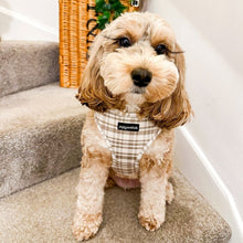 Load image into Gallery viewer, Signature Tartan Harness
