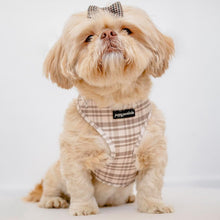 Load image into Gallery viewer, Signature Tartan Harness
