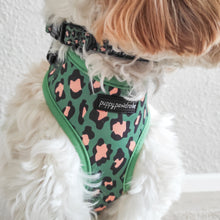 Load image into Gallery viewer, Green Leopard Harness
