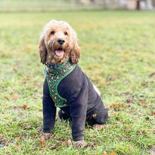 Load image into Gallery viewer, Green Leopard Harness
