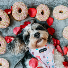 Load image into Gallery viewer, Donut Date Harness
